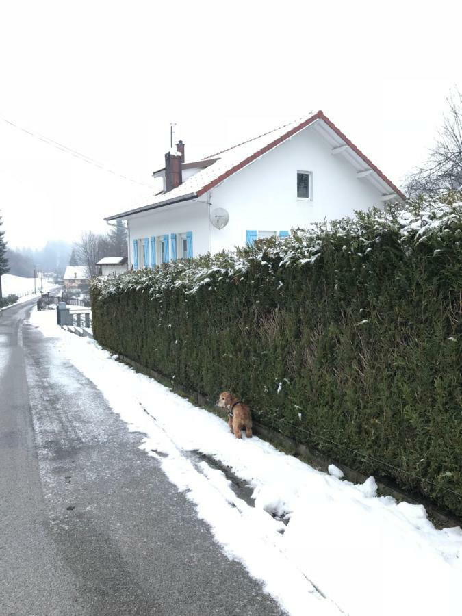 Gite Rose Andree Saulxures-sur-Moselotte Eksteriør billede