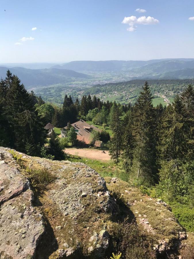 Gite Rose Andree Saulxures-sur-Moselotte Eksteriør billede